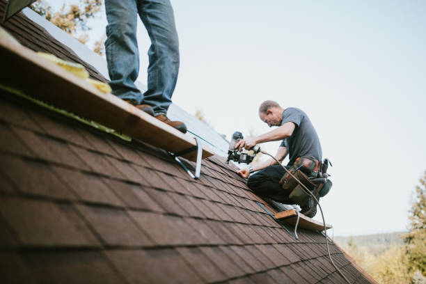 Roof Gutter Cleaning in Shorewood Tower Hills Harbert, MI